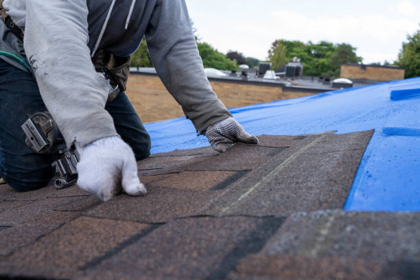 Best Storm Damage Roof Repair  in South Miami, FL